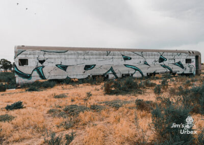 Graffitied Train